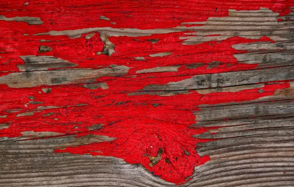 Paint, Board, texture