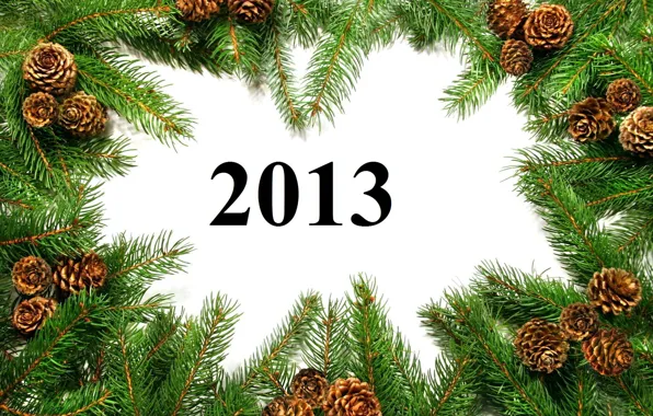 Picture branches, Happy New Year, bumps, year, new, 2013