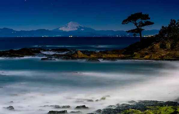 Sea, the sky, landscape, night, tree, shore, beauty, the volcano