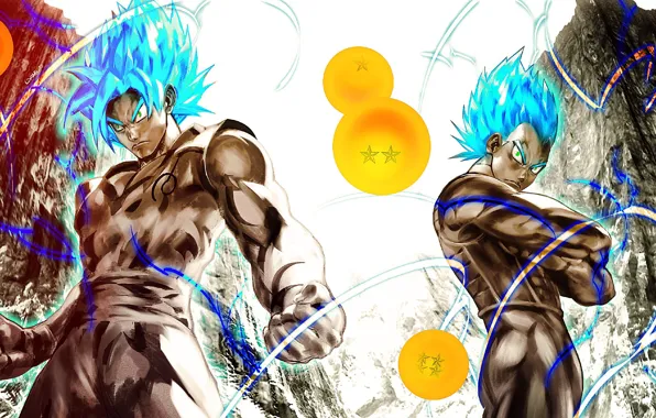 Game, anime, manga, japanese, Son Goku, Vegeta, Dragon Ball, Goku