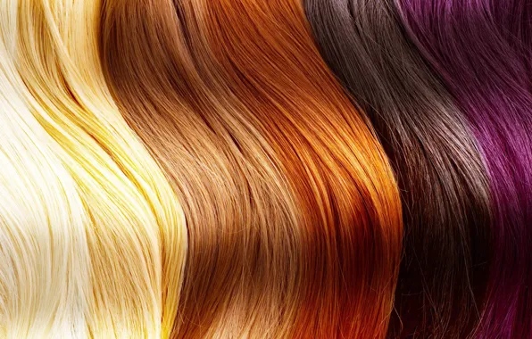 Picture human, different shades, hair