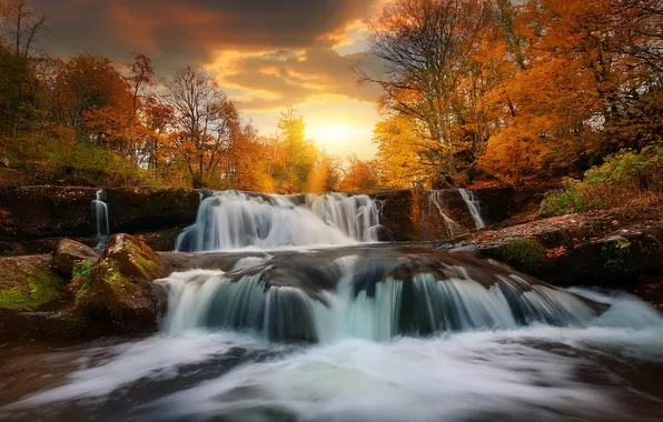 Autumn, forest, the sky, the sun, clouds, rays, light, trees