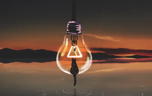 Picture cat, the sky, water, sunset, nature, light bulb
