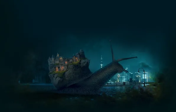 Animals, night, the city, castle, the moon, mood, Macro, snail