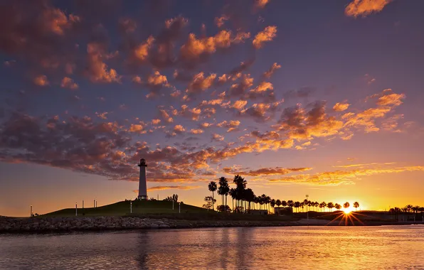 Sunset, palm trees, the ocean, shore, lighthouse, California Coast