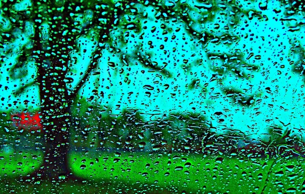 Glass, water, drops, rain, window