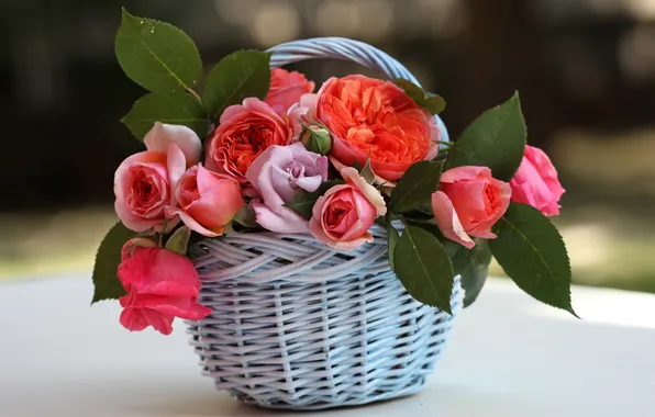 Leaves, flowers, roses, basket