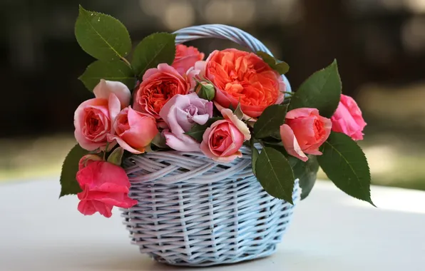 Picture leaves, flowers, roses, basket
