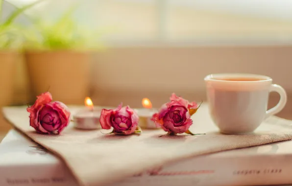 Flowers, roses, candles, Cup, book, pink