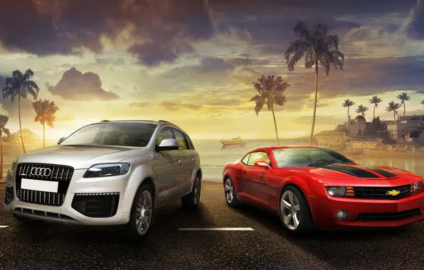 Picture the city, palm trees, audi, chevrolet, Ibiza, Test Drive Unlimted 2
