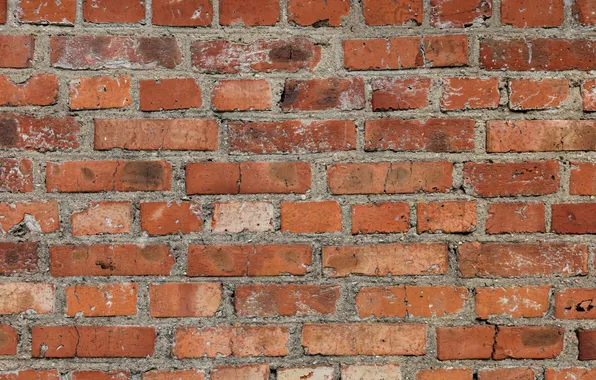 Background, brick, texture, brown, brown background, brick wall