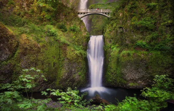 Picture bridge, waterfall, Oregon, Oregon, Columbia River Gorge, the Multnomah falls, Benson Bridge, bridge Benson