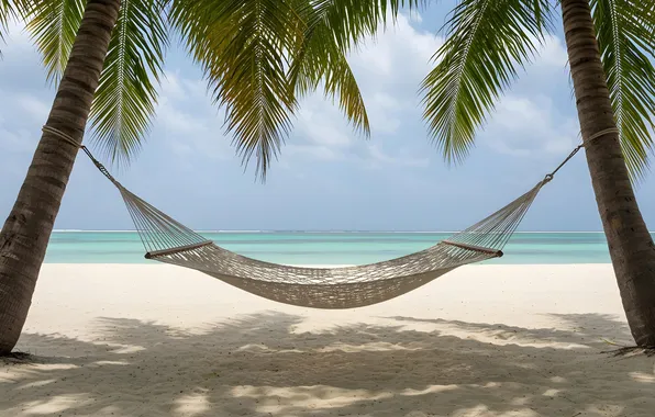Sand, sea, wave, beach, summer, the sky, palm trees, shore
