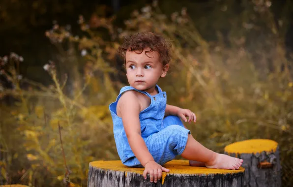 Grass, look, nature, children, stump, baby, The Podkovyrov Constantine