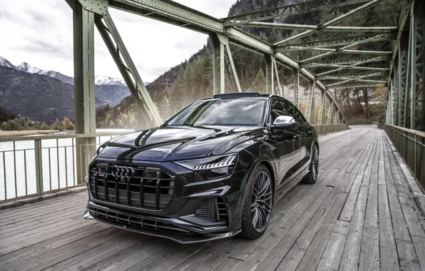 Audi, Black, Mountain, River, ABBOT, Forest, SQ8