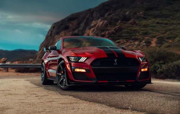 Overcast, Mustang, Ford, Shelby, GT500, bloody, 2019