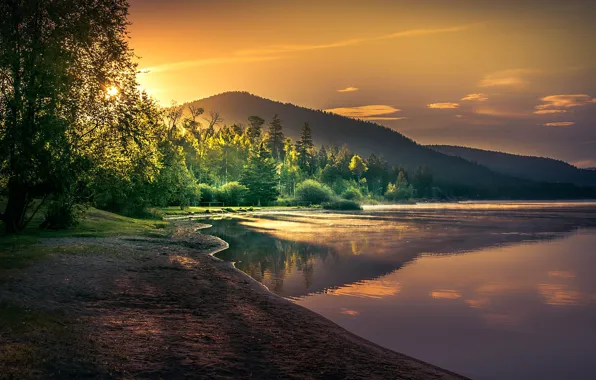 Forest, the sun, trees, mountains, lake, dawn, shore, morning