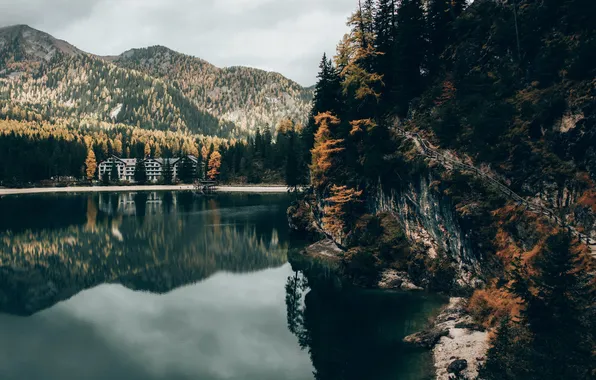 Picture forest, mountains, nature, lake