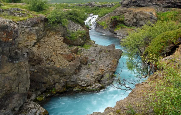 Grass, river, stones, rocks, for, shrub