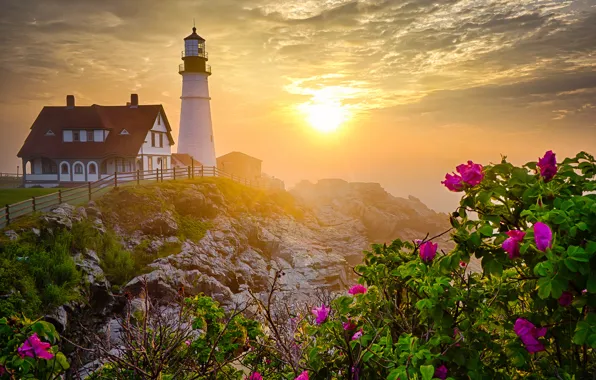 Picture flowers, rock, lighthouse, roses, morning