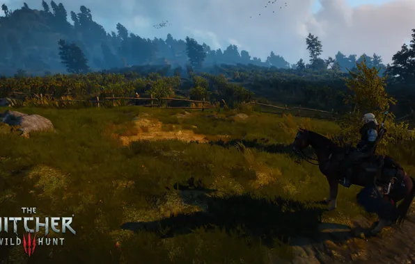 The Witcher, Geralt of Rivia, The Witcher 3 Wild Hunt