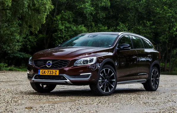 Picture Volvo, Volvo, Cross Country, V60, 2015