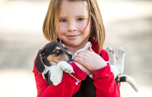Picture smile, mood, dog, girl, puppy, friends