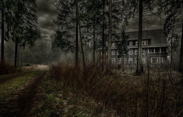 Picture road, forest, house, the darkness