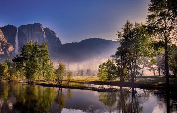 Forest, the sky, the sun, trees, mountains, fog, river, rocks