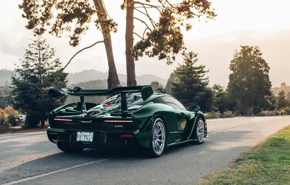 McLaren, supercar, 2018, Senna, MSO, Fux Green