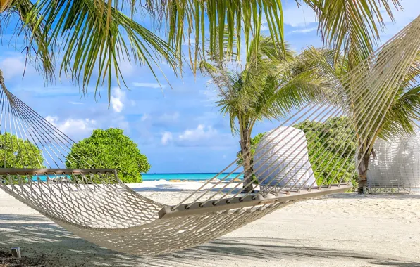 Beach, tropics, palm trees, Paradise