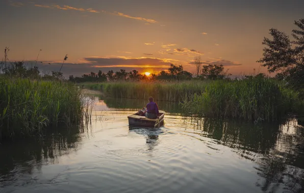 The sky, grass, water, the sun, clouds, sunset, pond, reflection