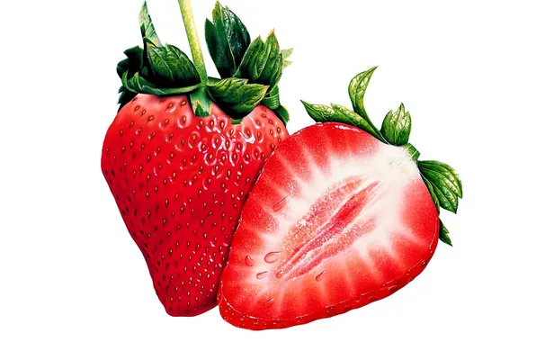 Strawberry, white background, vector graphics