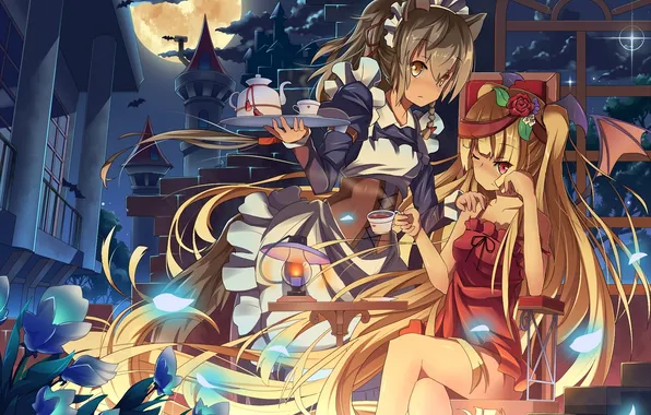 Picture flowers, night, castle, girls, tea, the moon, lantern, ears