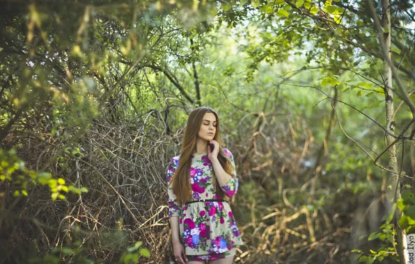 Girl, foliage, photographer, girl, photography, photographer, Ilya Klad, Ilya Baggage