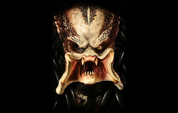 Eyes, face, look, Predatot