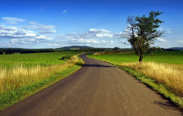 Picture road, field, landscape