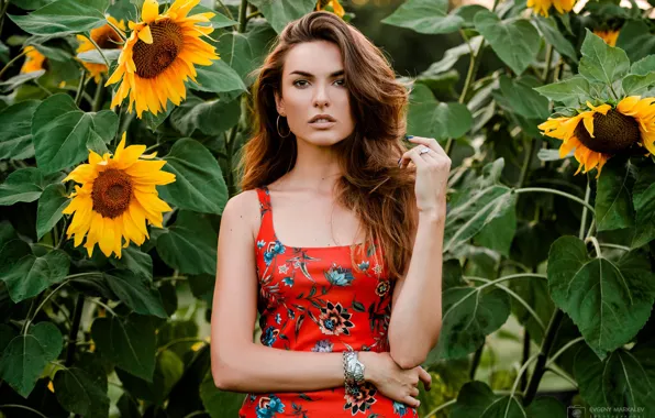 Look, sunflowers, pose, background, model, portrait, makeup, Catherine