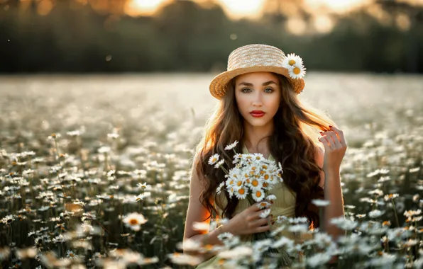 Picture summer, look, girl, flowers, face, mood, hair, chamomile