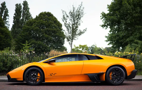 Picture orange, Lamborghini, Murcielago, orange, LP670-4, Lamborghini
