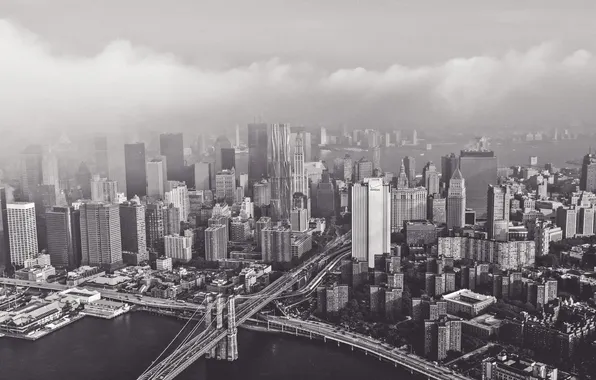 Picture bridge, black and white, skyscrapers, megapolis