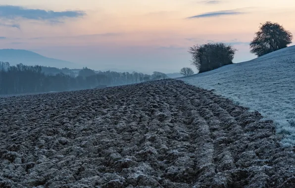 Field, nature, arable land