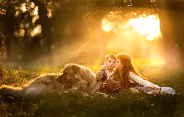 Picture kiss, dog, boy, girl