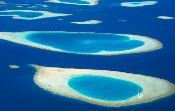 Picture sea, island, Atoll, The Maldives