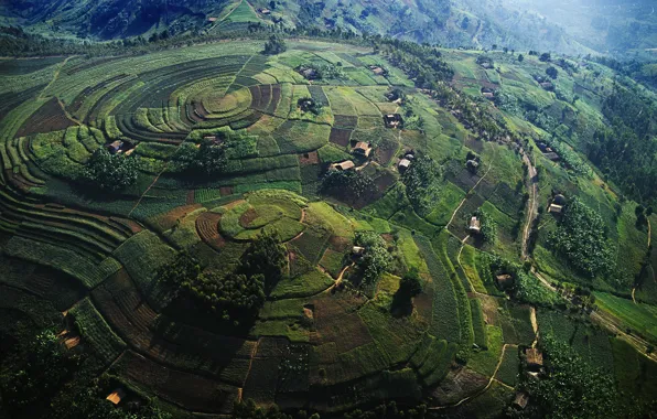 Picture field, hills, Africa, Uganda, Hills from Air