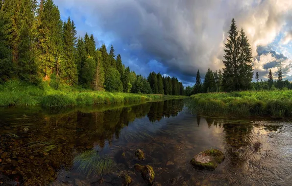 Forest, the sky, grass, trees, landscape, clouds, nature, river
