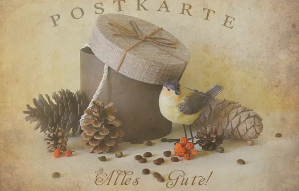 Box, seeds, figurine, bird, nuts, bumps, items, Rowan