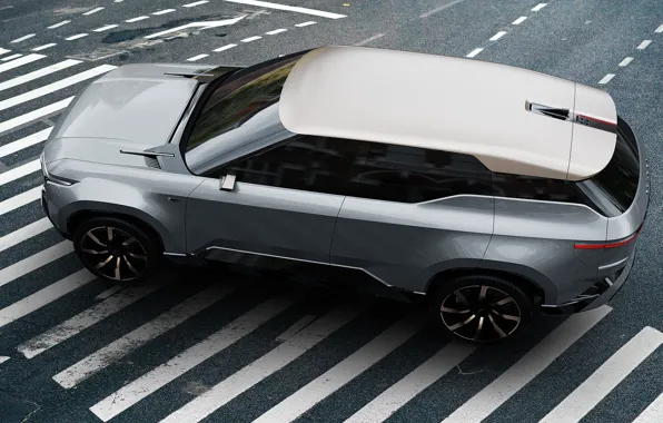 Toyota, side view, the view from the top, kruzak, Toyota, electric, electric crossover, Land Cruiser …