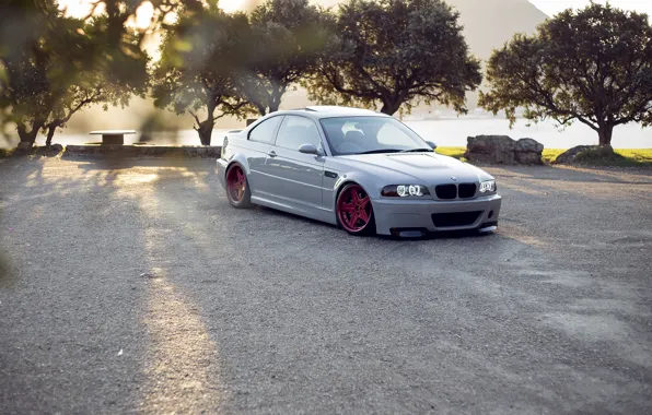 White, trees, bmw, BMW, red, red, white, wheels