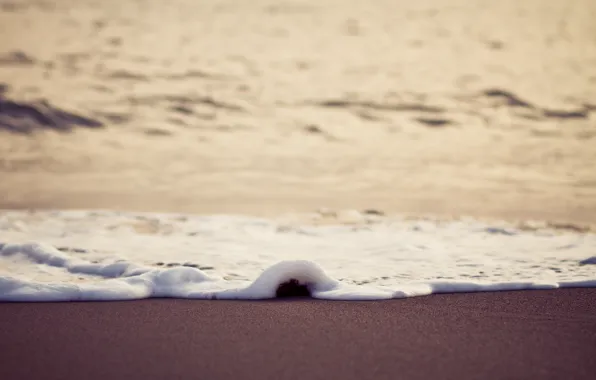 Wet, sea, beach, foam, macro